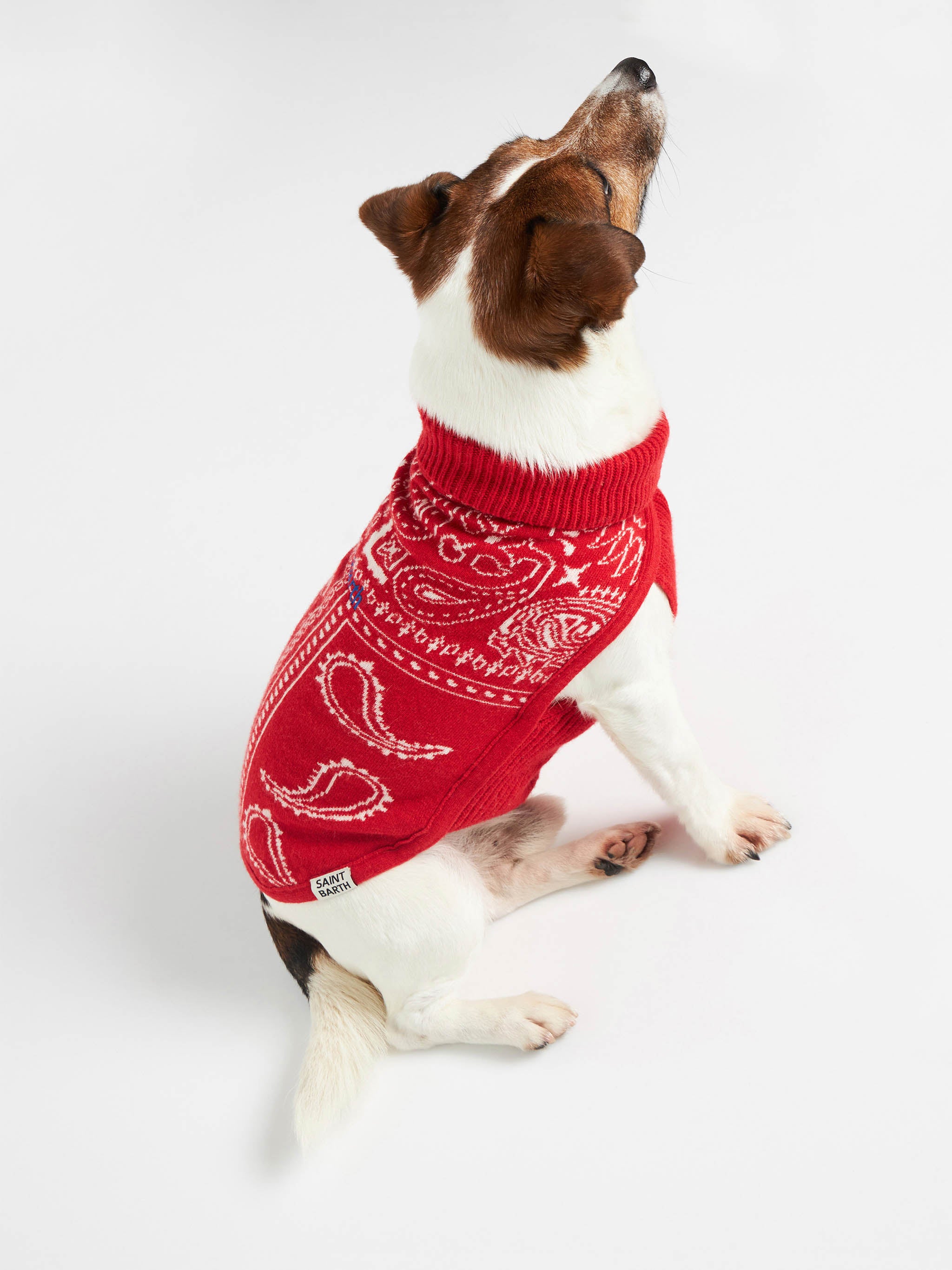 mc2-saint-barth-maglioncino-cane-pdog001-bandana-rossa-dolcevita image 3