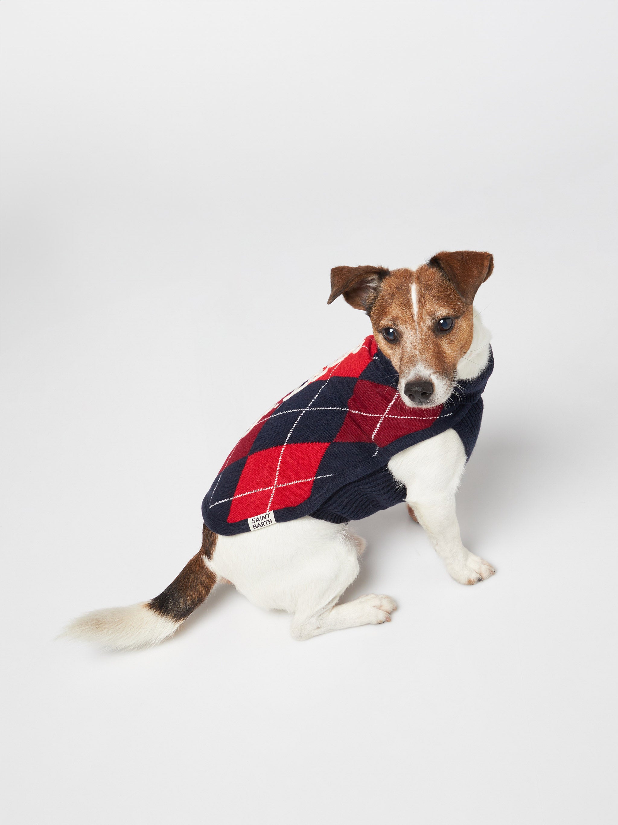 mc2-saint-barth-maglioncino-cane-argyle-dolcevita-lana-cashmere image 3