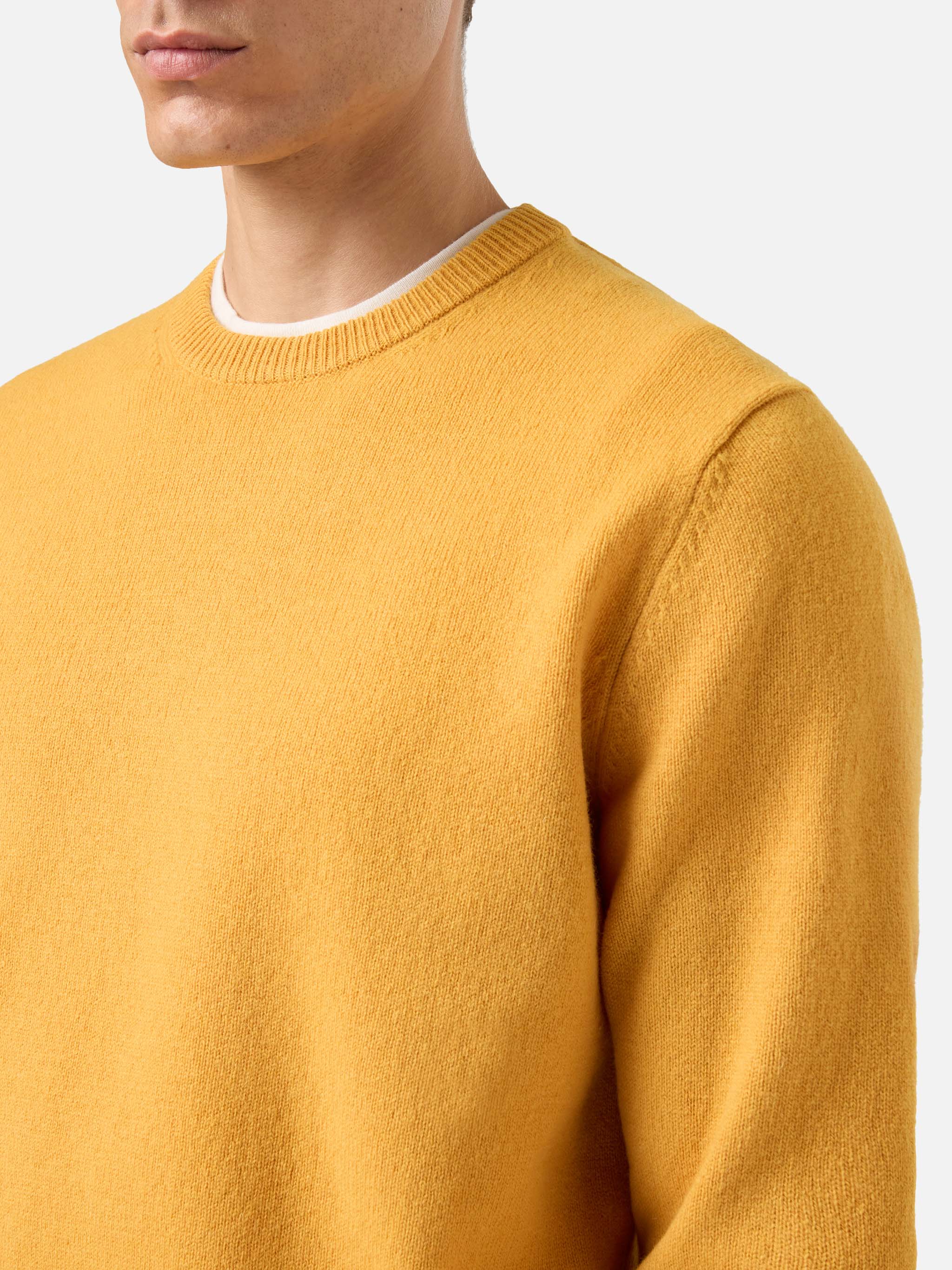 mc2-saint-barth-regent-maglione-uomo-girocollo-in-100-lambswool-giallo-ocra image 2