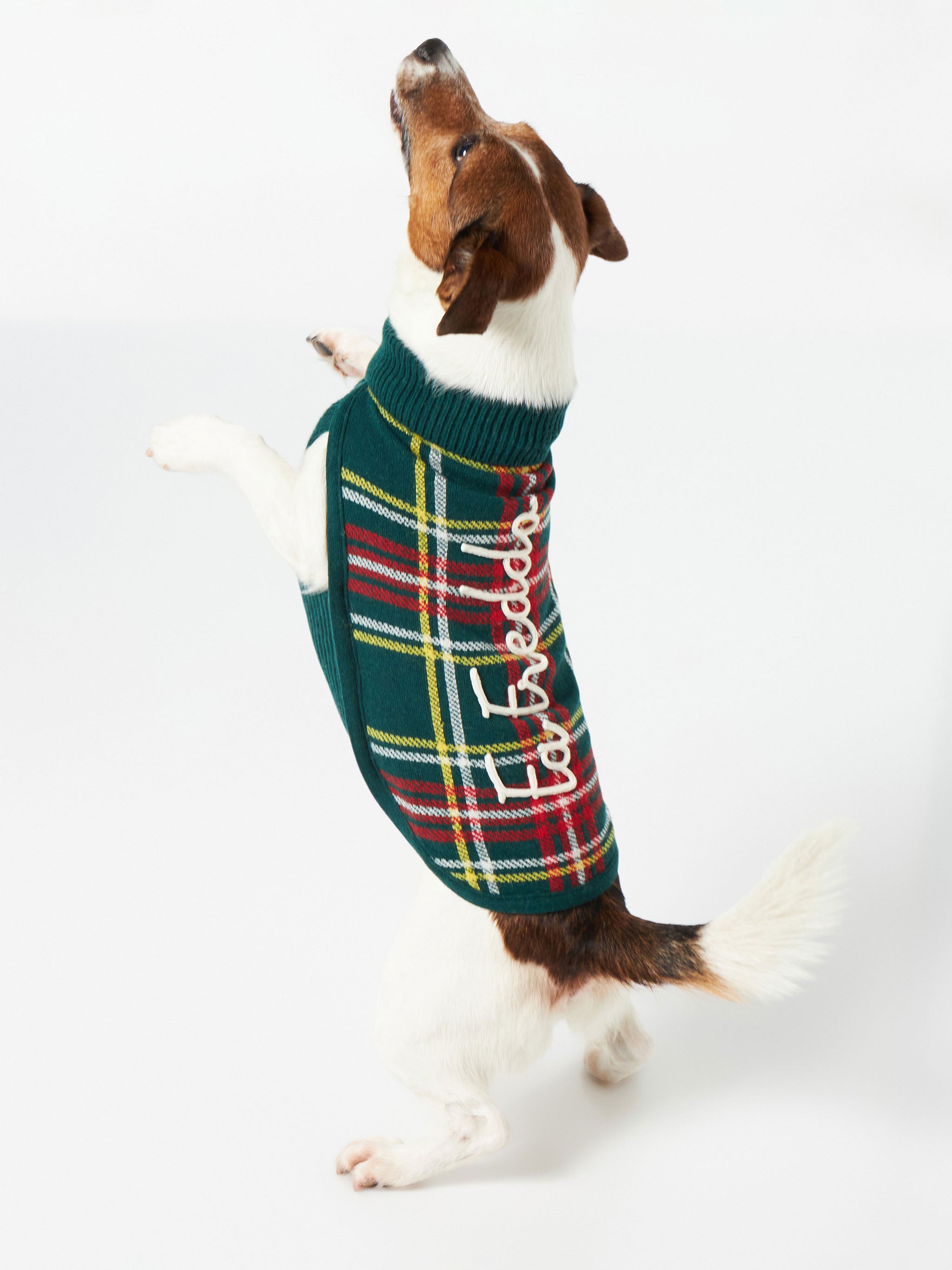 mc2-saint-barth-maglioncino-per-cani-con-stampa-tartan-e-ricamo-fa-freddo image 3