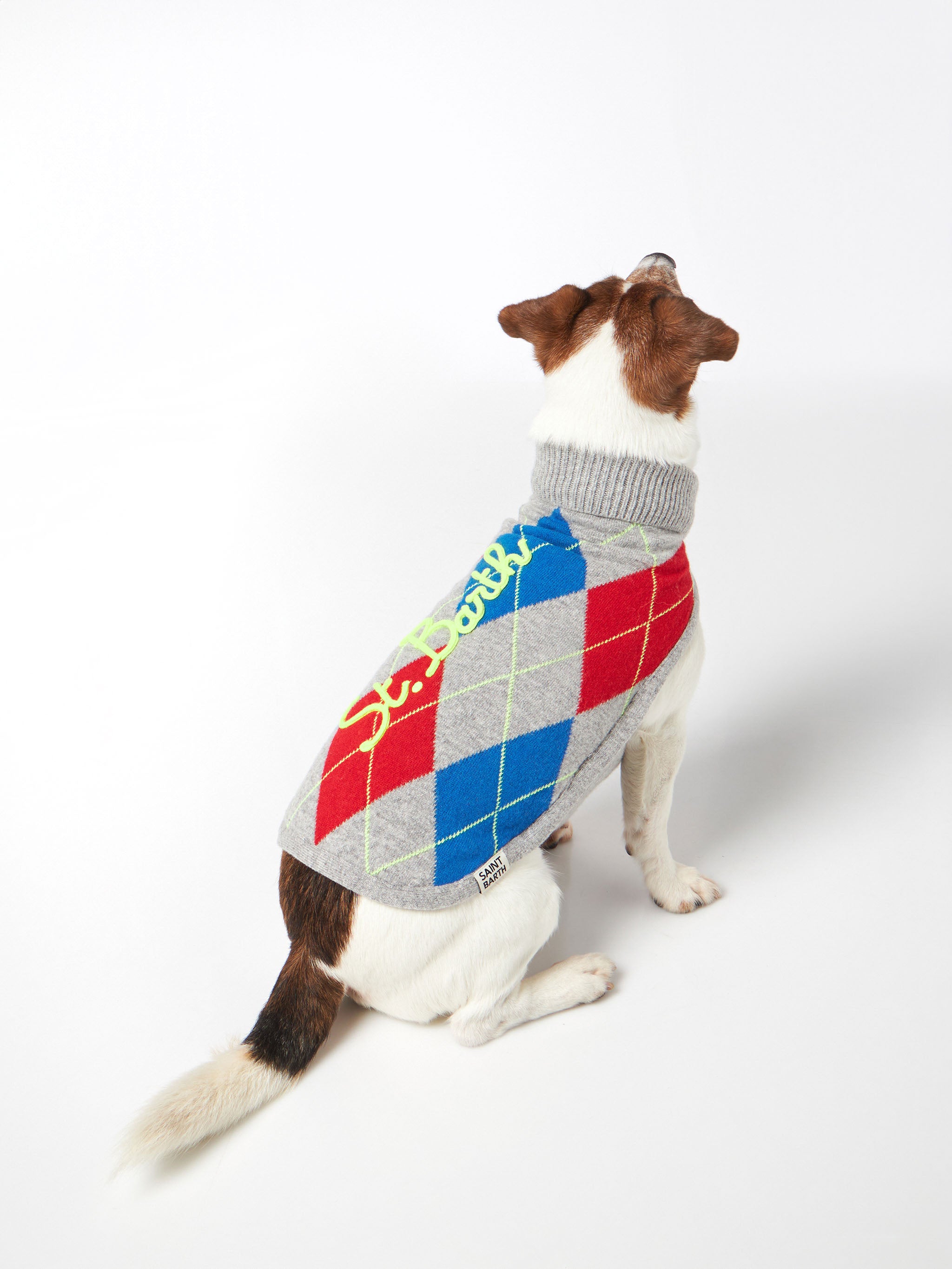 mc2-saint-barth-pdog001-maglioncino-cane-dolcevita-stampa-argyle image 2