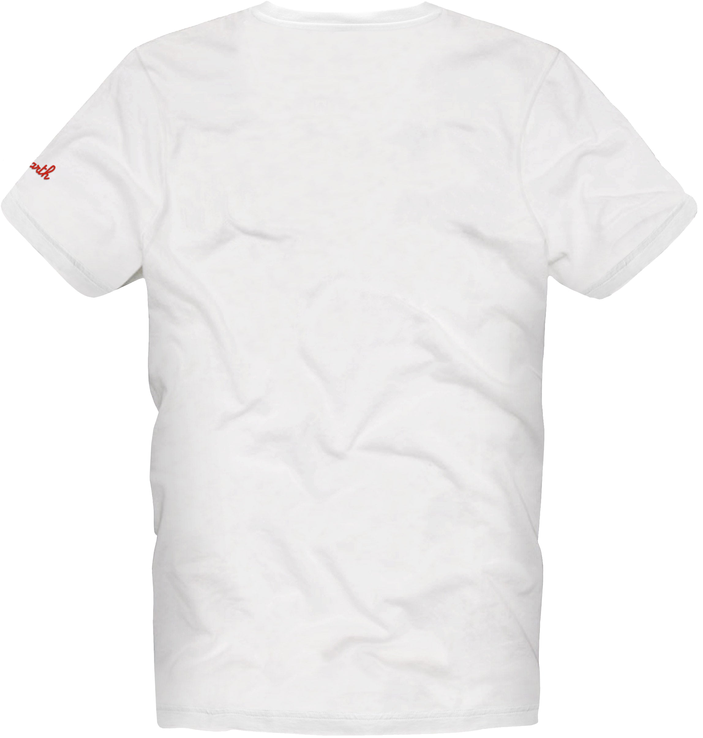 t-shirt-mc2-saint-barth-per-bambino-con-ricamo-st-barth-habitu image 2