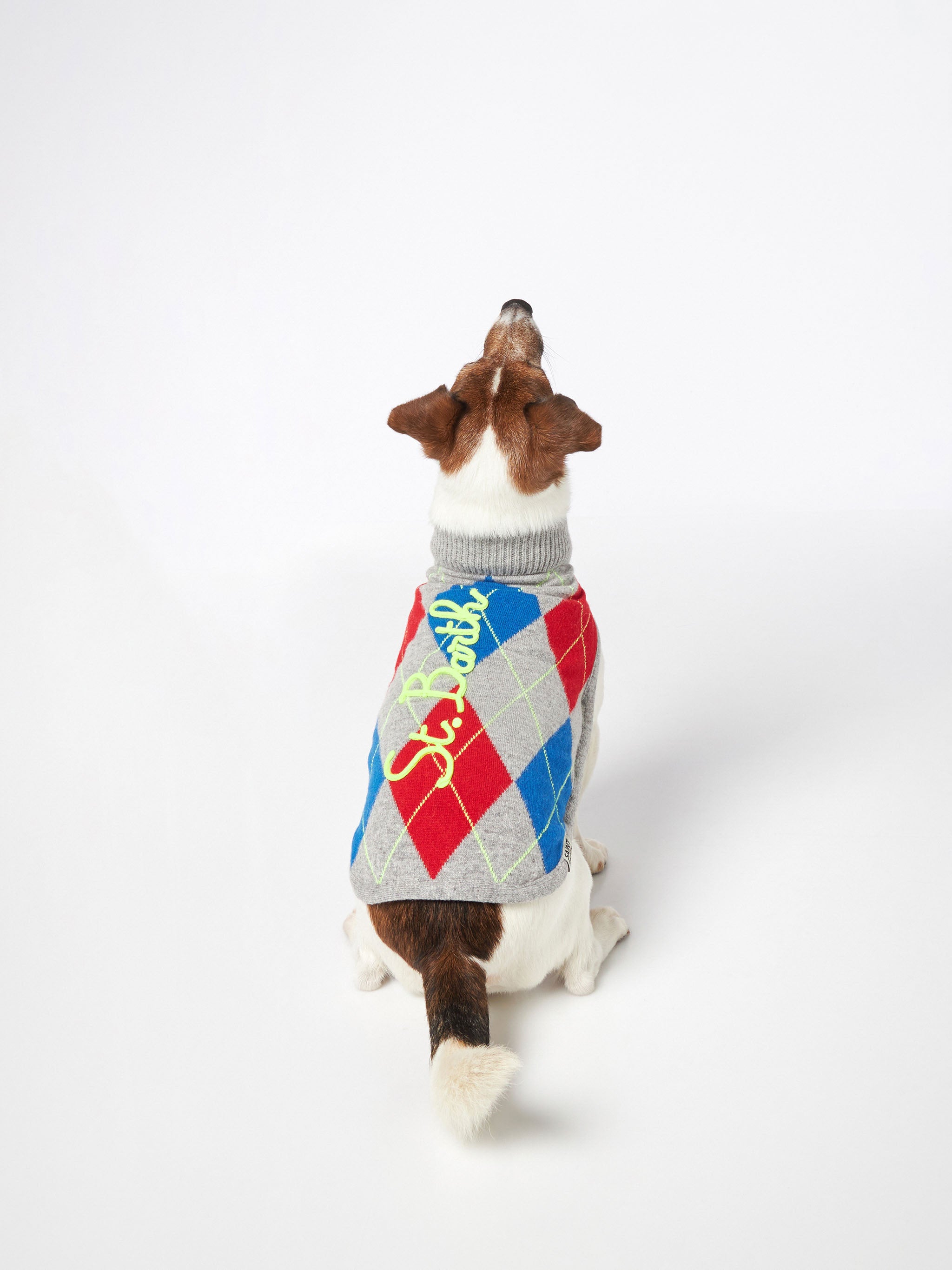 mc2-saint-barth-pdog001-maglioncino-cane-dolcevita-stampa-argyle image 3