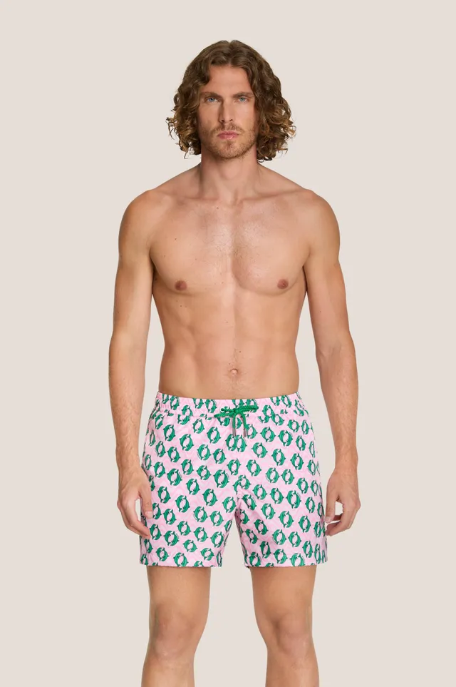 4giveness-short-corto-mare-dolphins-costume-uomo image 1