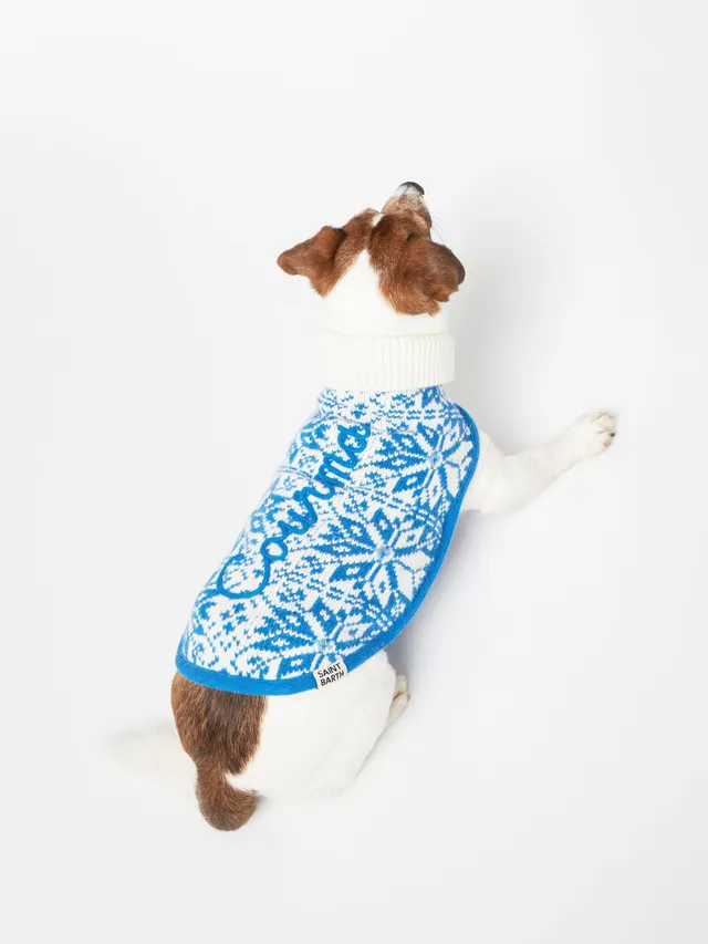 mc2-saint-barth-maglioncino-cane-dolcevita-stampa-nordica-blu image 1