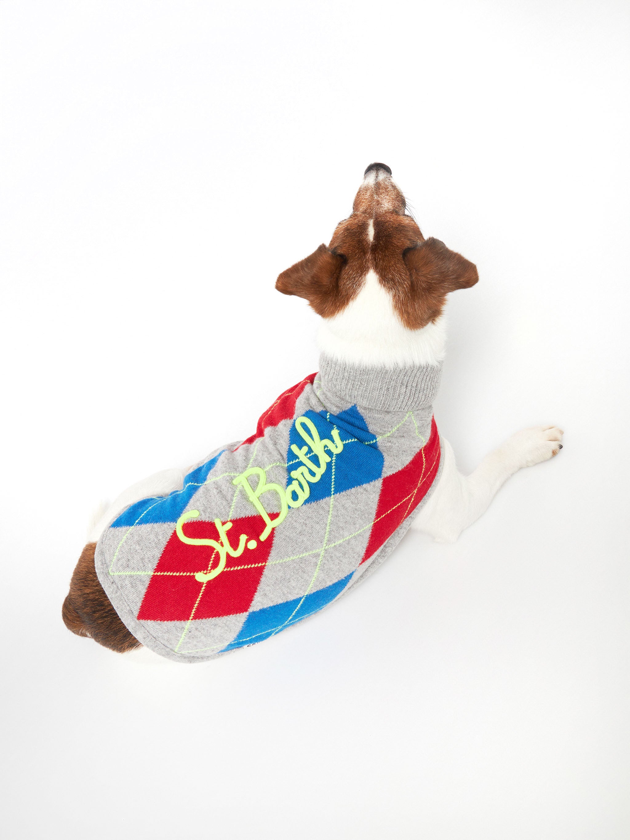mc2-saint-barth-pdog001-maglioncino-cane-dolcevita-stampa-argyle image 1
