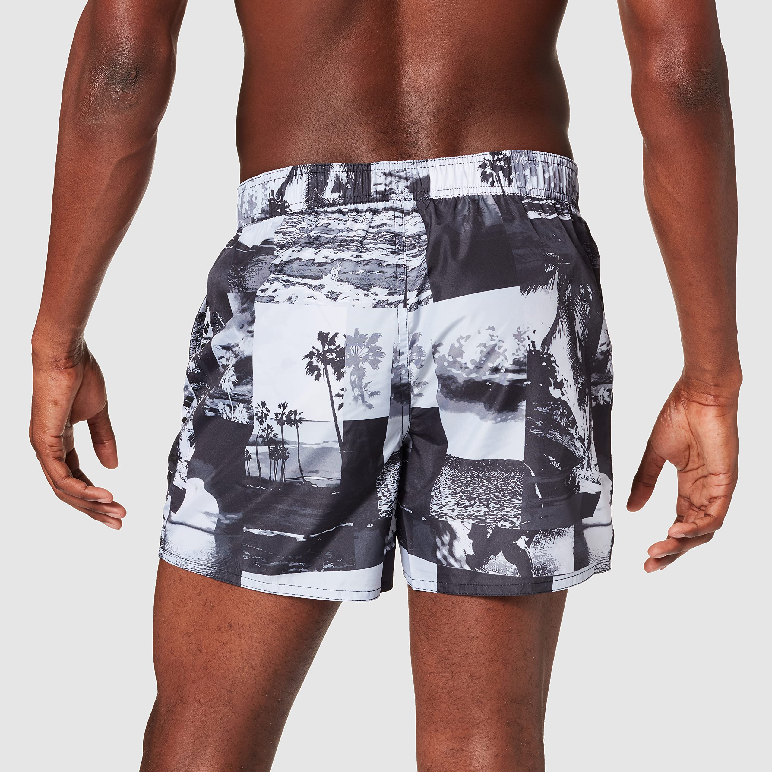 arena-icons-team-stripe-allover-pantaloncini-mare-uomo image 3