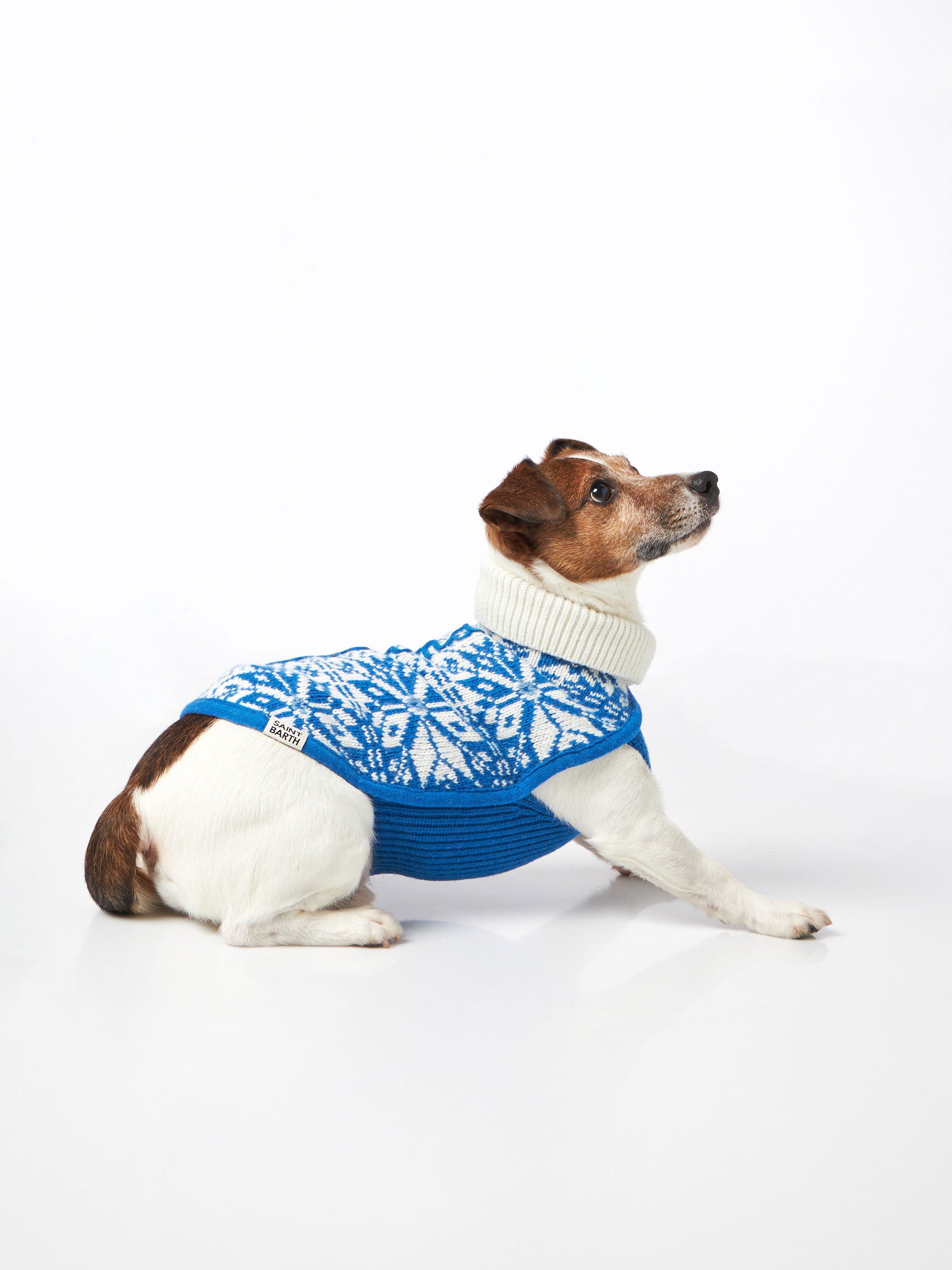 mc2-saint-barth-maglioncino-cane-dolcevita-stampa-nordica-blu image 2