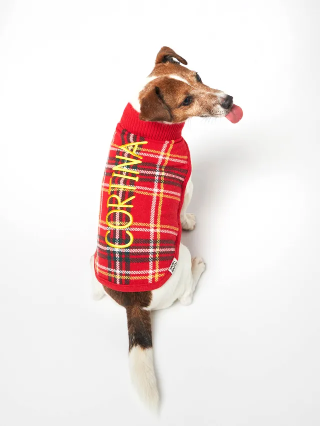 mc2-saint-barth-maglioncino-cane-dolcevita-tartan-rosso image 1