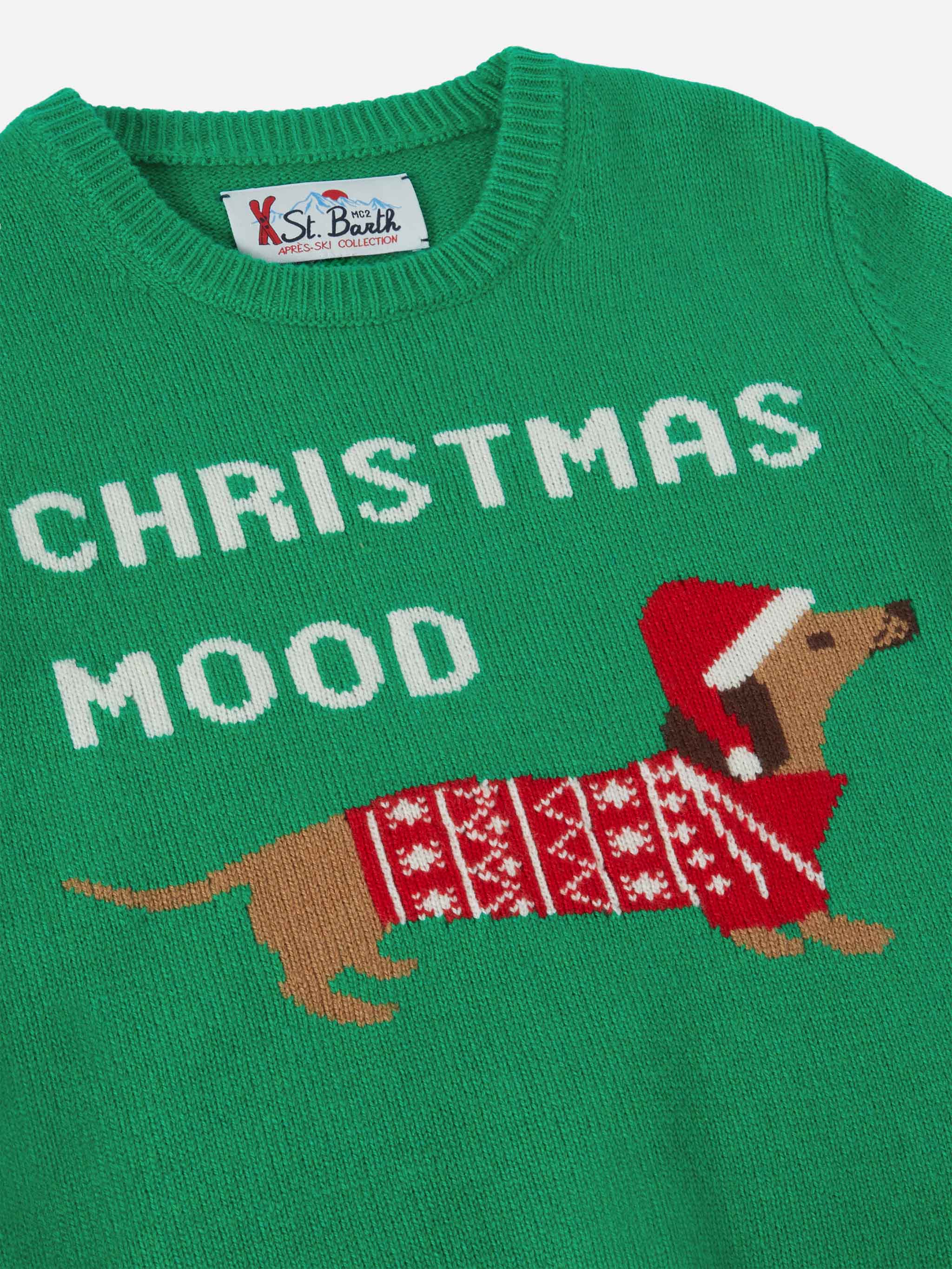 mc2-saint-barth-douglas-maglione-bambino-verde-christmas-dog image 2