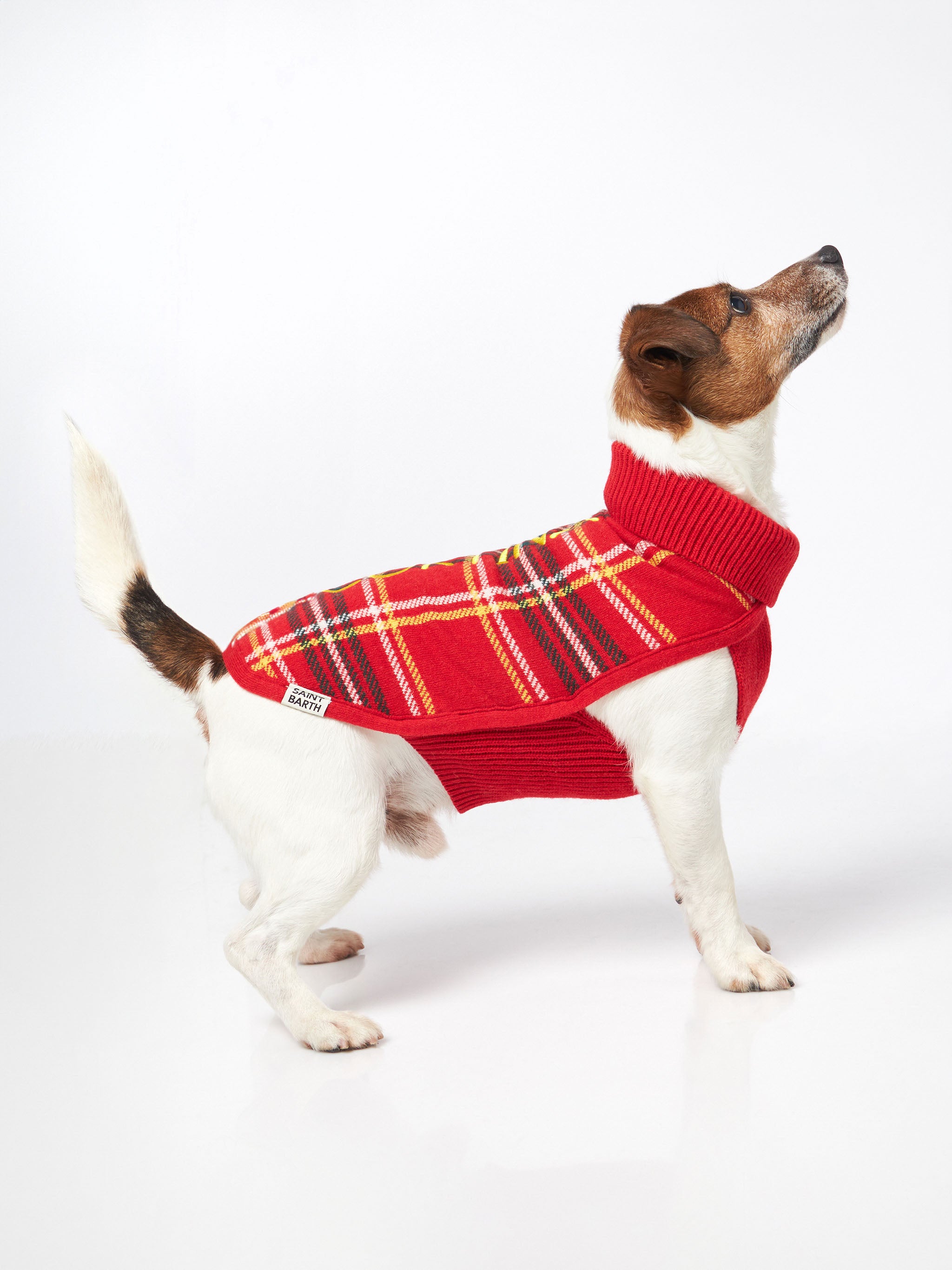 mc2-saint-barth-maglioncino-cane-dolcevita-tartan-rosso image 4
