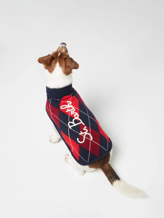 mc2-saint-barth-maglioncino-cane-argyle-dolcevita-lana-cashmere image 1
