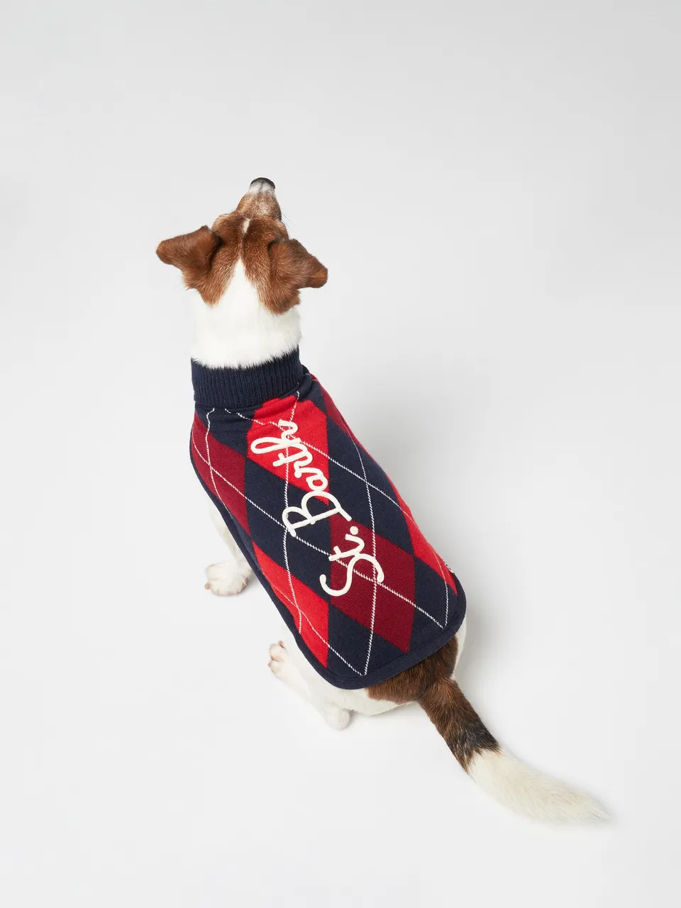 mc2-saint-barth-maglioncino-cane-argyle-dolcevita-lana-cashmere image 1