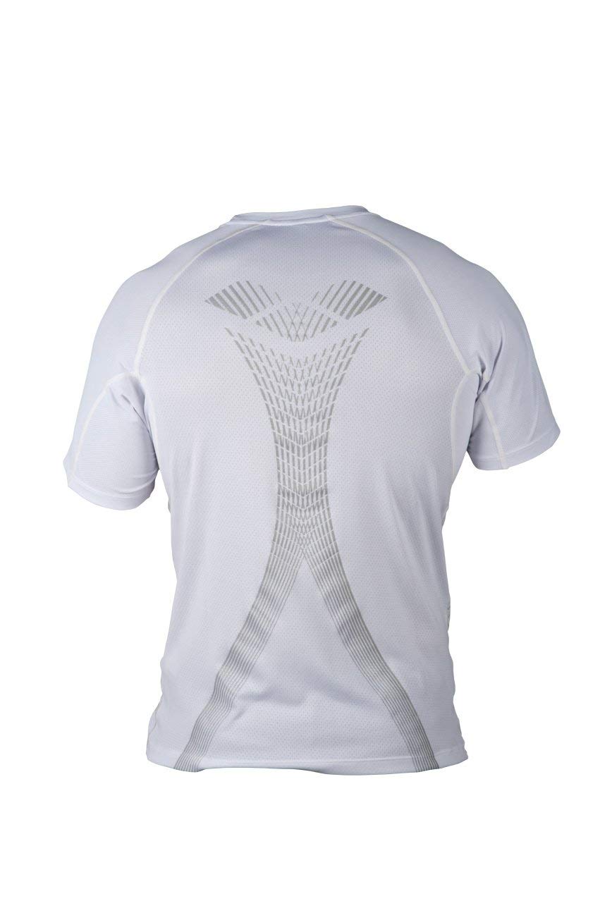 arena-m-run-s-s-panel-maglia-uomo-manica-corta image 2