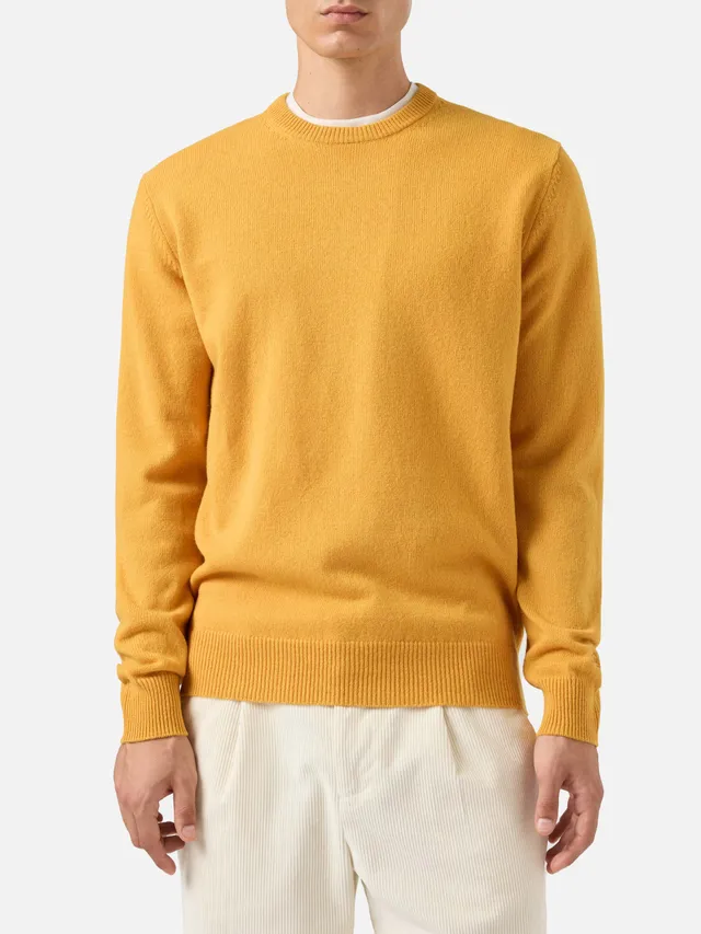 mc2-saint-barth-regent-maglione-uomo-girocollo-in-100-lambswool-giallo-ocra image 1
