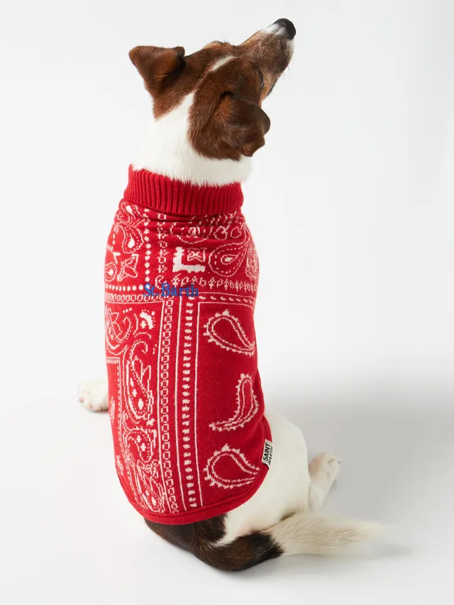 mc2-saint-barth-maglioncino-cane-pdog001-bandana-rossa-dolcevita image 1