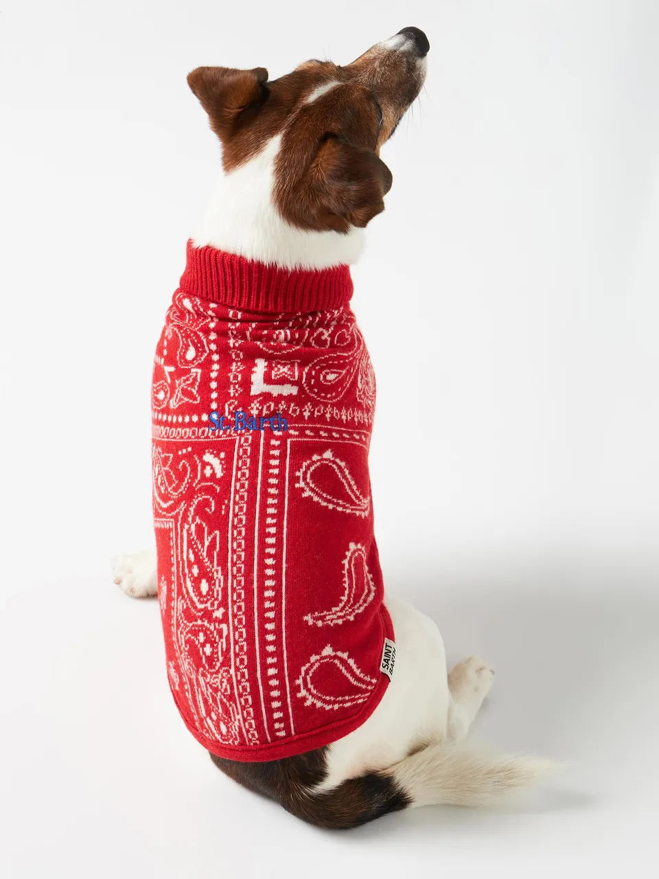 mc2-saint-barth-maglioncino-cane-pdog001-bandana-rossa-dolcevita image 1