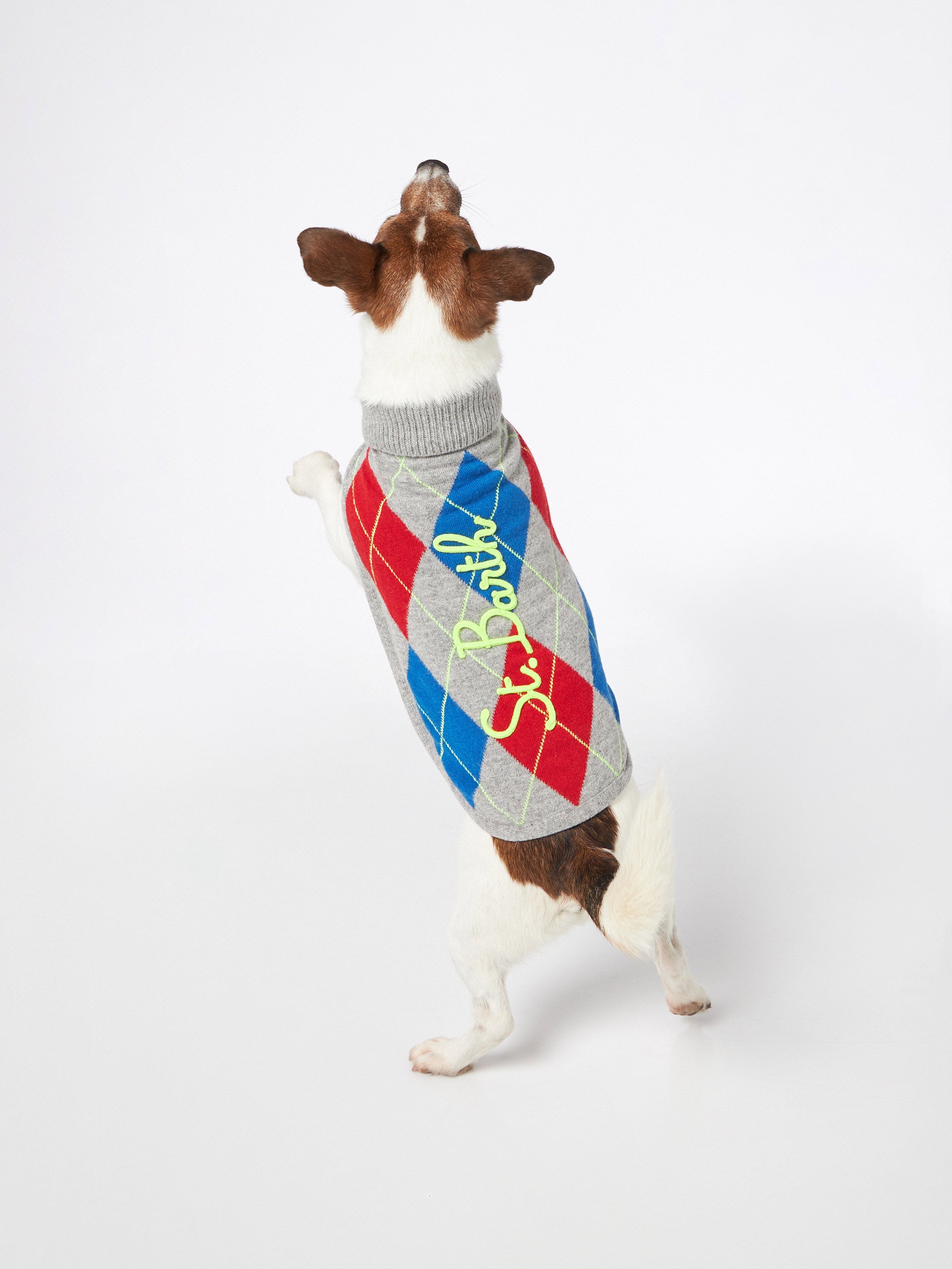 mc2-saint-barth-pdog001-maglioncino-cane-dolcevita-stampa-argyle image 4