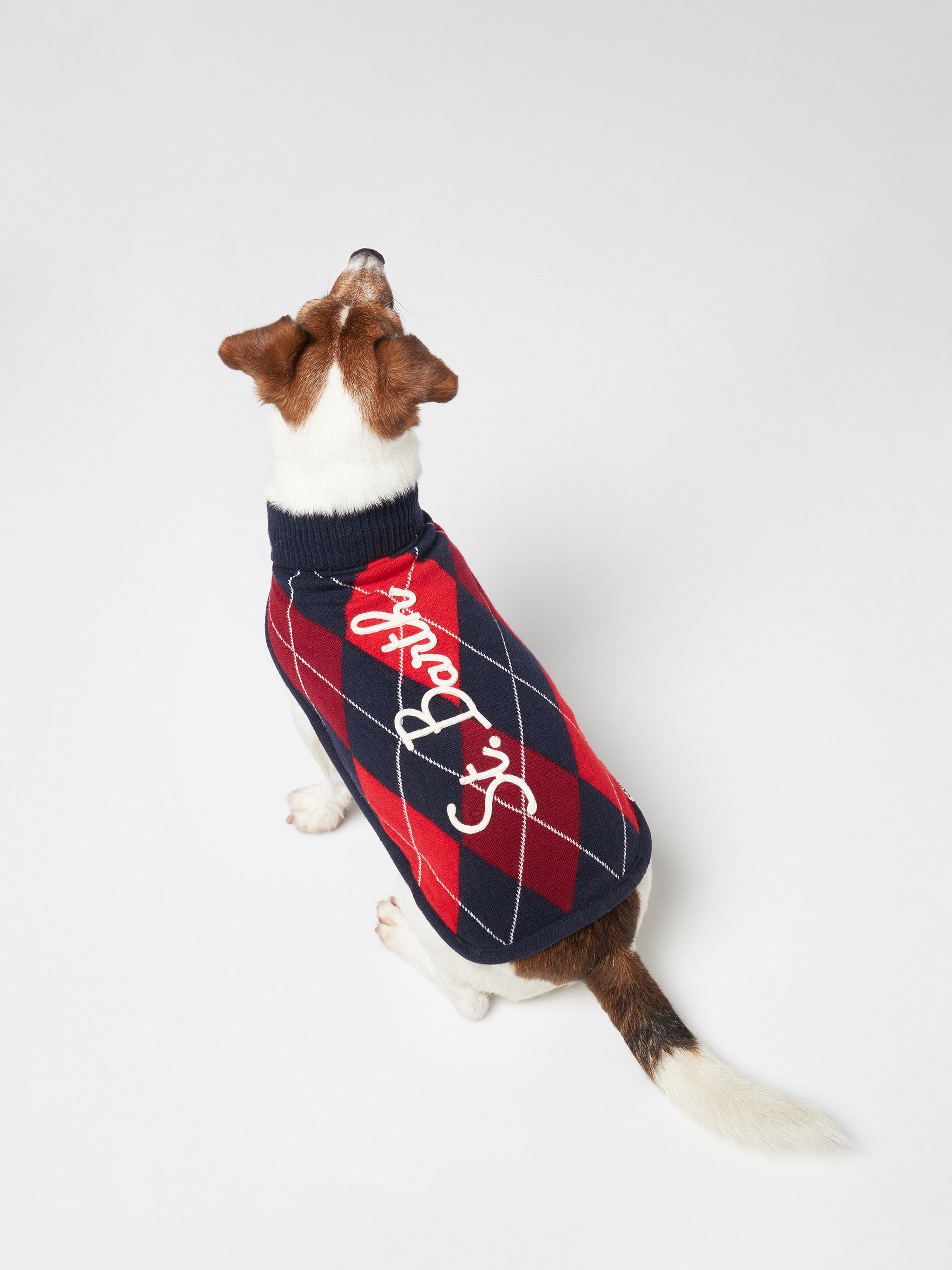 mc2-saint-barth-maglioncino-cane-argyle-dolcevita-lana-cashmere image 1