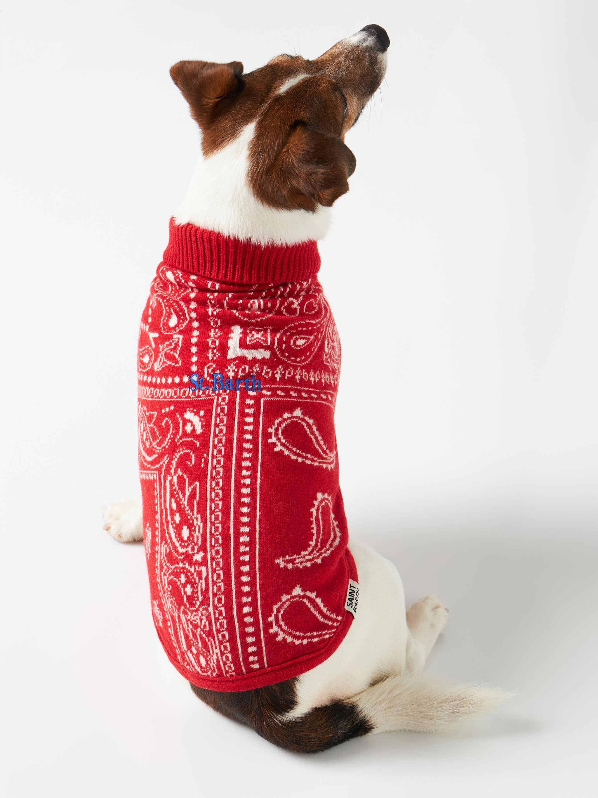 mc2-saint-barth-maglioncino-cane-pdog001-bandana-rossa-dolcevita image 1
