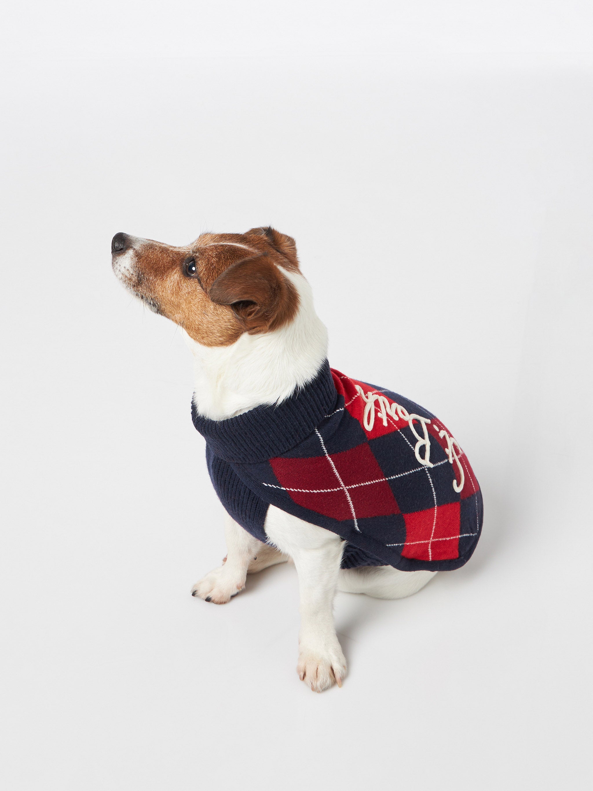 mc2-saint-barth-maglioncino-cane-argyle-dolcevita-lana-cashmere image 2