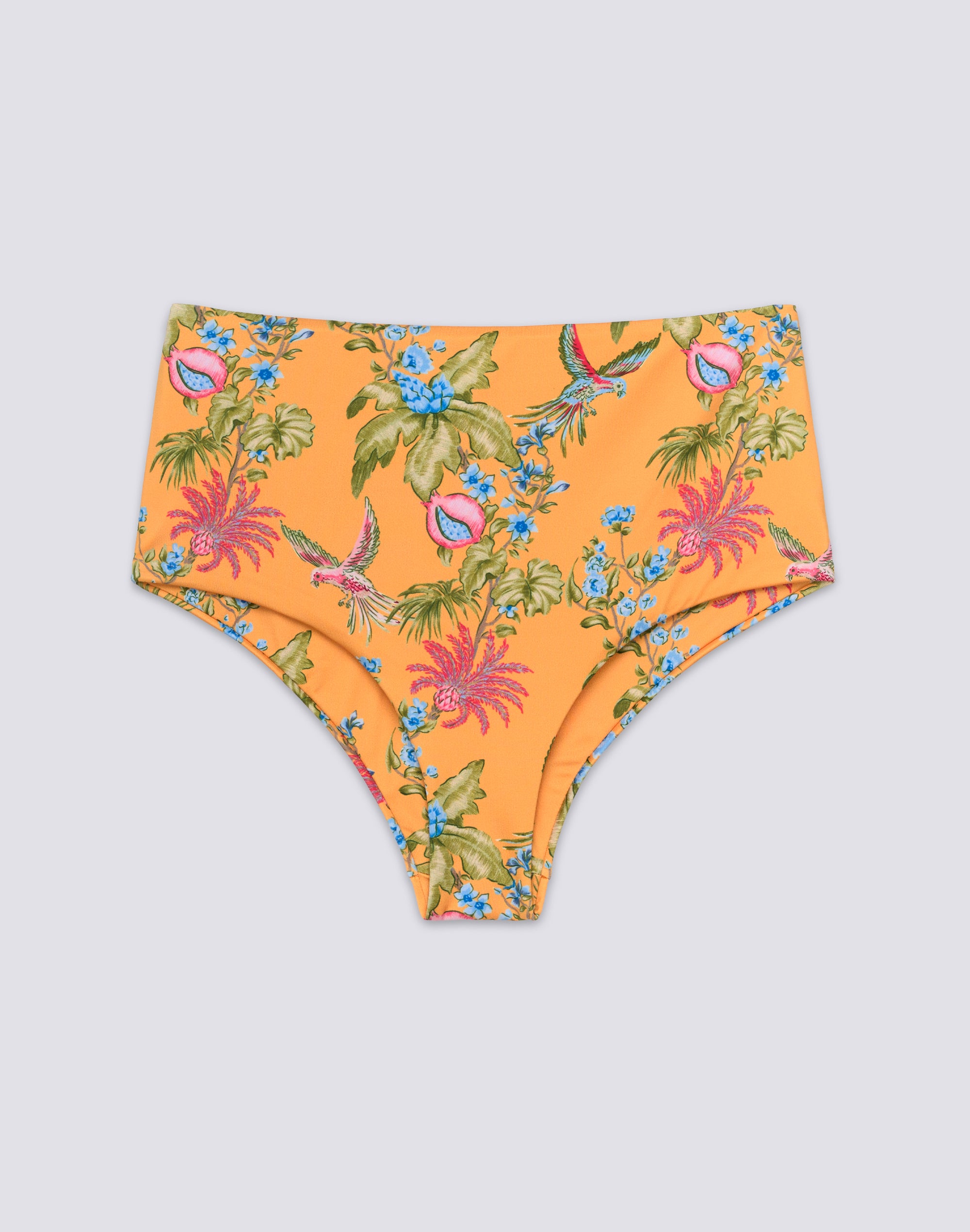 sundek-ipanema-slip-culotte-donna-a-vita-alta-stampa-sweet-parrot image 1