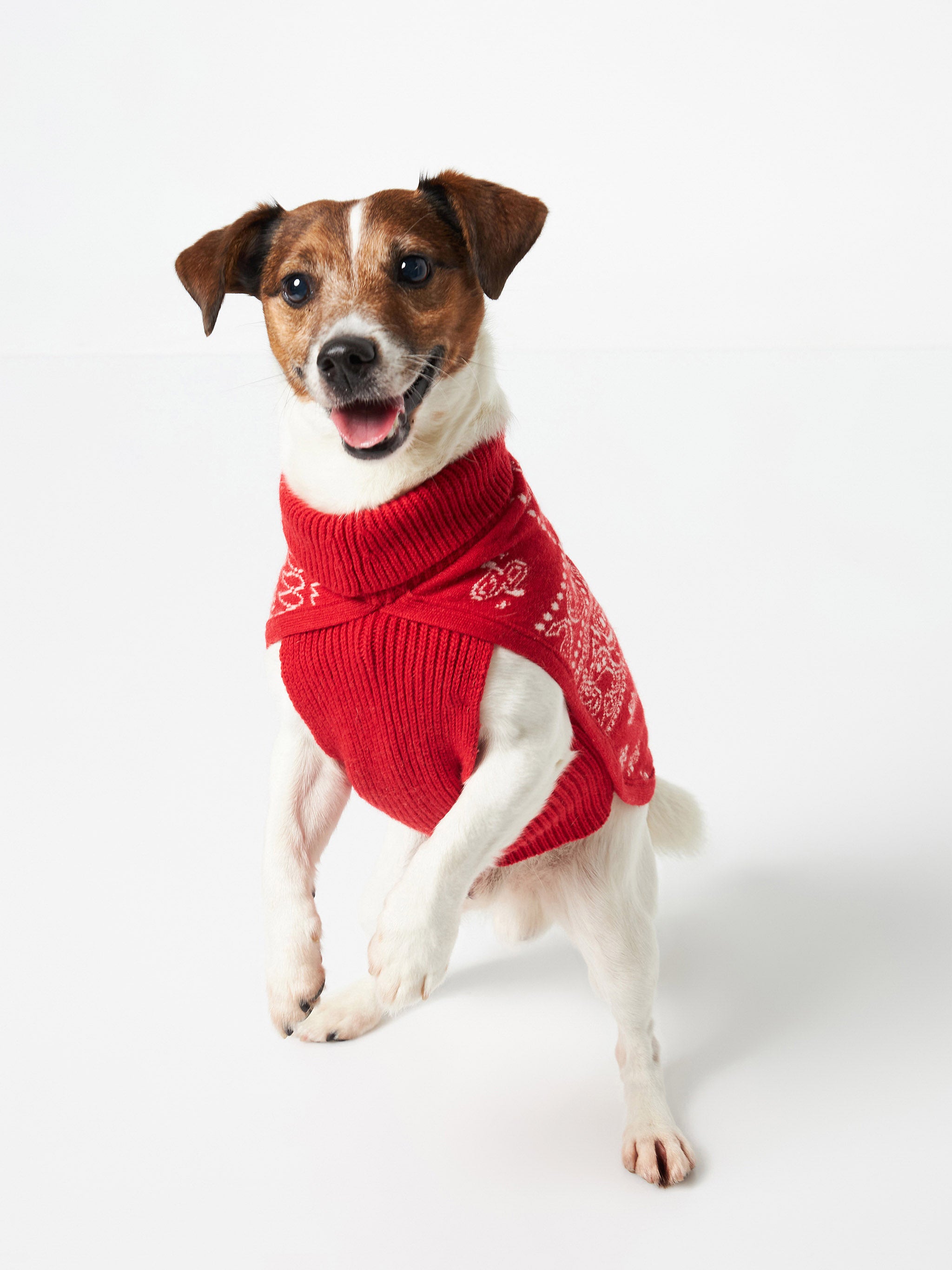 mc2-saint-barth-maglioncino-cane-pdog001-bandana-rossa-dolcevita image 2