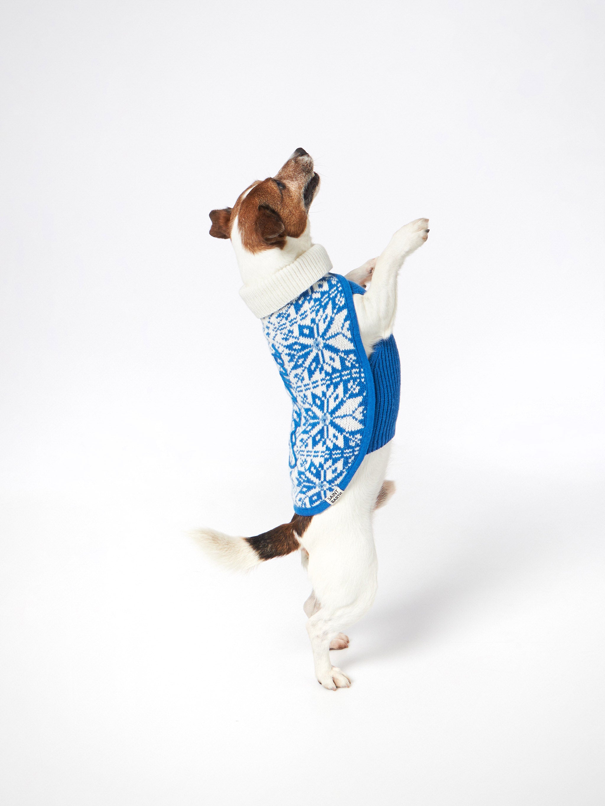 mc2-saint-barth-maglioncino-cane-dolcevita-stampa-nordica-blu image 3