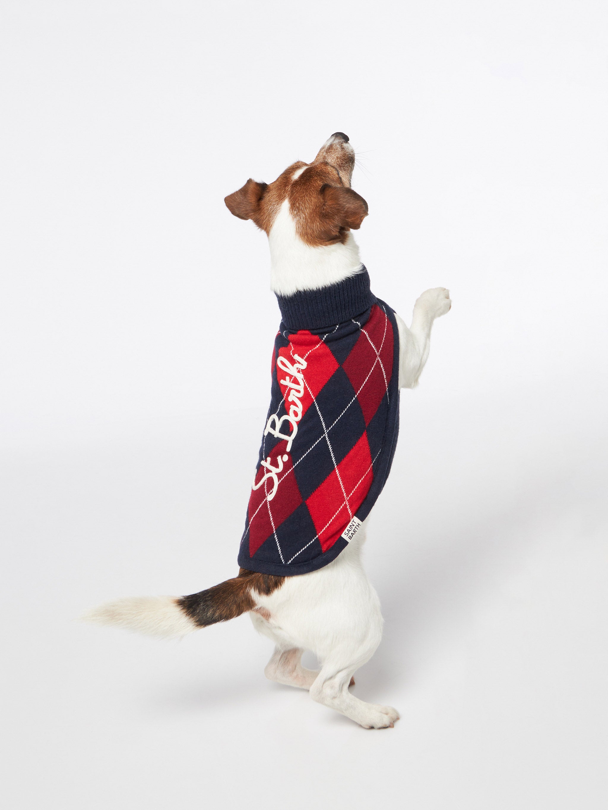 mc2-saint-barth-maglioncino-cane-argyle-dolcevita-lana-cashmere image 4